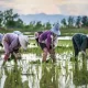 Thailand has the Highest Income Inequality in East Asia