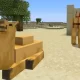 The Minecraft Camel: What We Know So Far