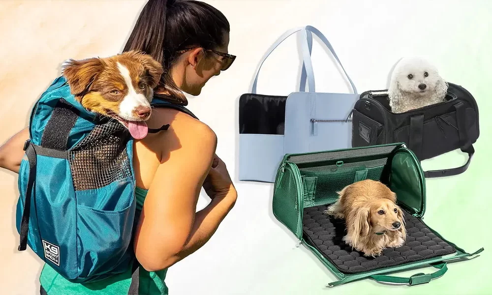 What Is the Best Type Of Pet Carrier for Your Furry Friend?