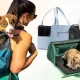 What Is the Best Type Of Pet Carrier for Your Furry Friend?
