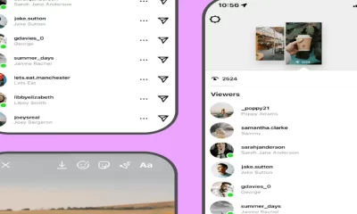 Why the Instagram Story Viewer is Really Helpful?