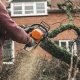 Top 3 Signs Your Tree Needs to Be Removed