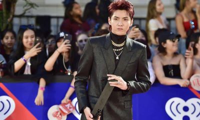 Chinese-Canadian Pop Star Kris Wu Jailed for 13 Years in China