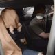 South Korea Woman Extradited to New Zealand