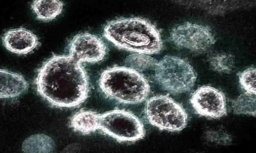 Research: Covid Deteriorates Diabetes Associated Diseases