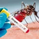Dengue Virus Kills 5 More People In Bangladesh, Hospitalizes 873 Others