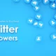 3 Best Websites to Buy Real Twitter Followers