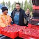 Finland, Sweden Accused of Exploiting Berry Workers from Thailand
