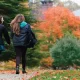 6 Steps to Get Ready for College Admissions