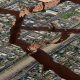 A 6.2-Magnitude Earthquake Struck Off The Mexican Coast
