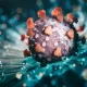 COVID Variants Omicron BQ.1BQ.1.1 Make up 44% of U.S. Cases CDC