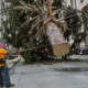 Holiday Arrival: Christmas Begins With The Rockefeller Tree