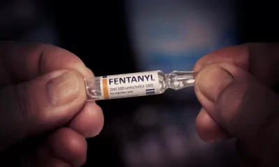 Fentanyl 'Vaccine' Inhibits The Brain's Absorption Of The Drug 'Opioid'