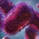 UK Monkeypox Outbreak Transmission Dynamics