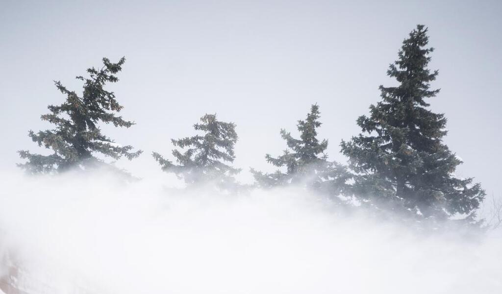 Massive Snowfall Buries Cars In Western New York