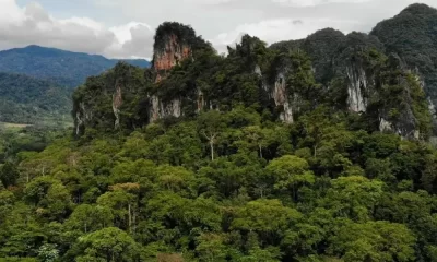'Missing' Body Of Frenchman found in Southern Thailand