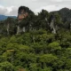 'Missing' Body Of Frenchman found in Southern Thailand