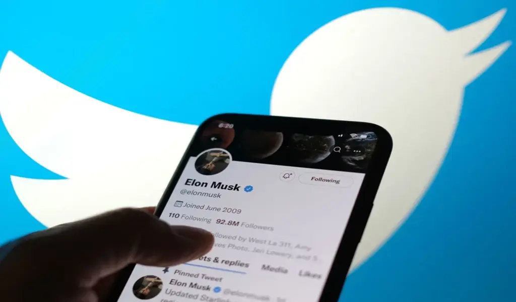 Musk - A Little Bird Tweeted me