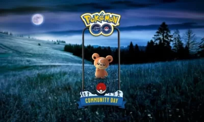 Pokemon Go Shows Off Teddiursa Community Day Shiny haul
