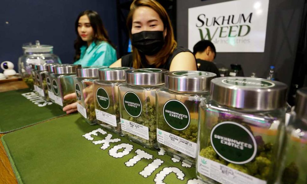 Thailand Makes Weed Buds (Cannabis) a Controlled Herb