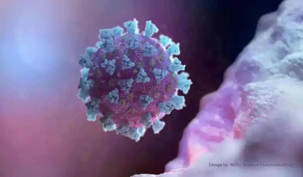 WHO To Identify Potential Pandemic And Outbreak-Causing Pathogens