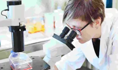 Monkeypox Virus Has Mutations That Make It Resistant To Antivirals