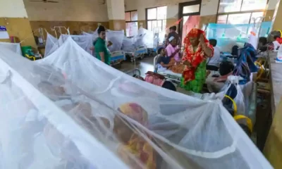 Dengue Kills 5 People In 24 Hours