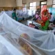 Dengue Kills 5 People In 24 Hours