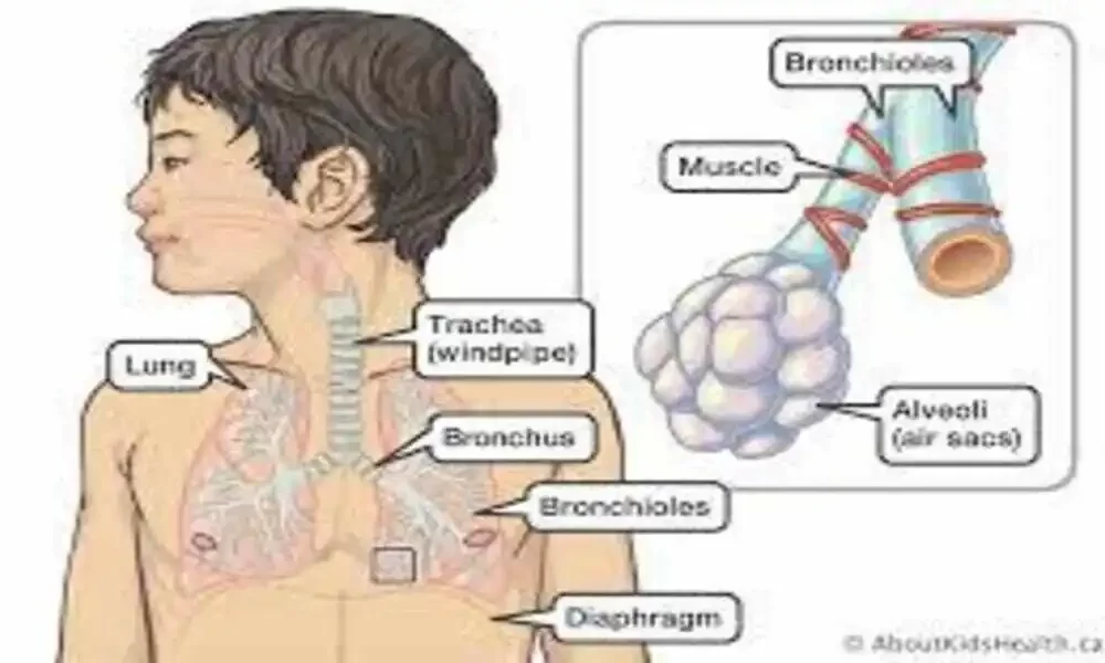 A Rise In Respiratory Virus Cases In The North