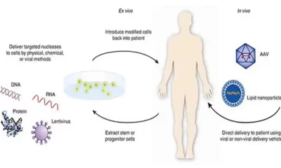 Gene Therapy For Epilepsy