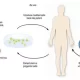 Gene Therapy For Epilepsy