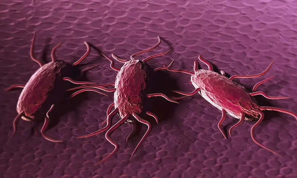 Listeria Outbreak Linked To Deli Meat & Cheese In 6 States