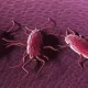 Listeria Outbreak Linked To Deli Meat & Cheese In 6 States