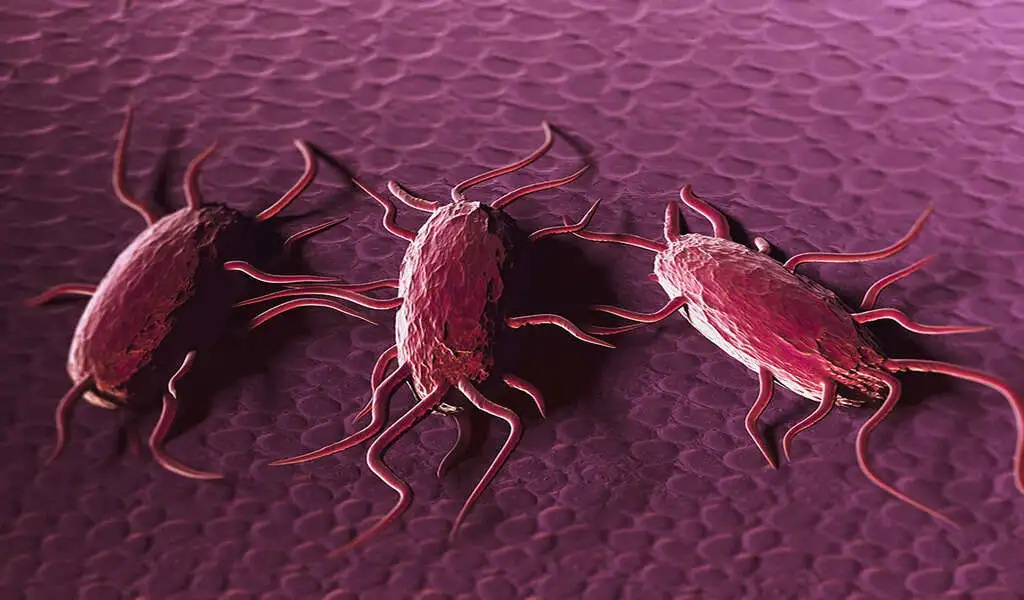 Listeria Outbreak Linked To Deli Meat & Cheese In 6 States