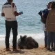 Mexico Beachgoers Find 3 Dead Bodies Washed Up With Torture Marks