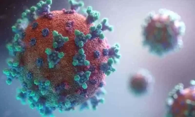 Study Finds Monkeypox Mutations Make Virus Spread Fast And Evade Drugs And Vaccines