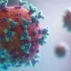 Study Finds Monkeypox Mutations Make Virus Spread Fast And Evade Drugs And Vaccines