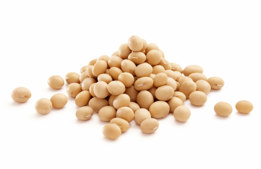 How Soy is Beneficial For Animal Nutrition