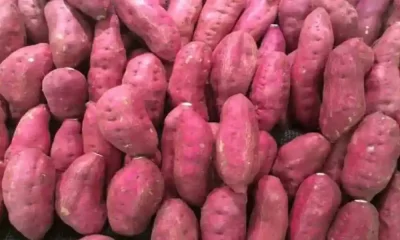 Sweet Potatoes Have 7 Health Benefits - The Perfect Winter Food