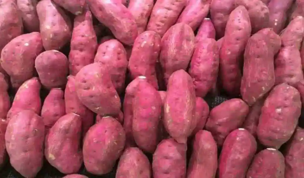 Sweet Potatoes Have 7 Health Benefits - The Perfect Winter Food