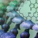 Blue Meanie Mushroom Spores
