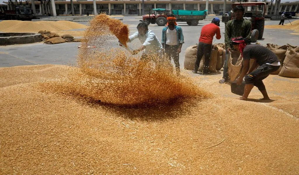 COVID-era Free Food Program Replaced With A Cheaper One In India