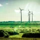 California Voted To Approve Plans For Carbon Neutrality Roadmap By 2045