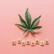 Cannabis Market Forecast 5 Top Trends That Will Affect Cannabis in 2023