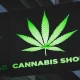 Where to Buy Cannabis in Pattaya