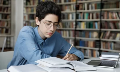Essay Writing Guidelines