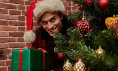 The Most Beautiful Grinch Christmas Tree Decoration