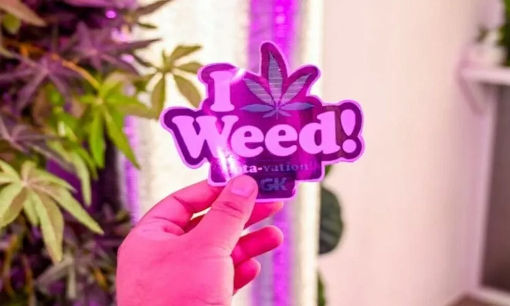 How To Purchase Quality Weed Seeds Online?