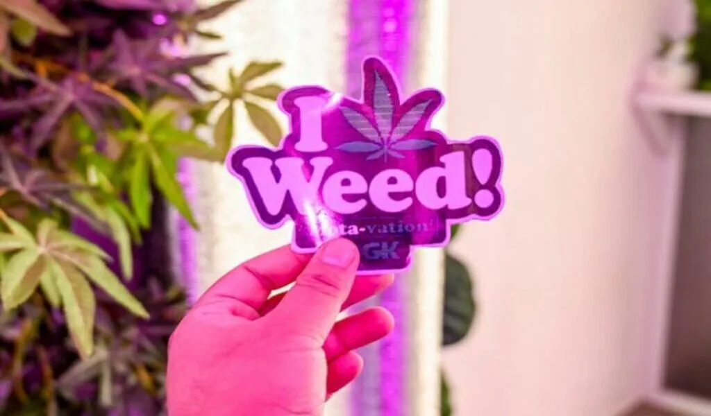 How To Purchase Quality Weed Seeds Online?