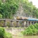 New Zealand Man, 45 Dies after Falling Off Train on Thailand's Death Railway